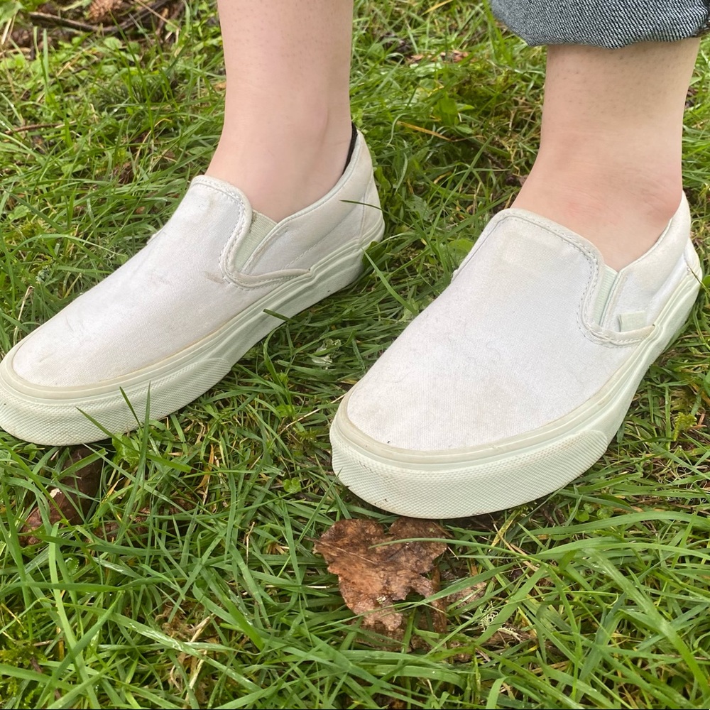 Mint vans - Picture 5 of 6
